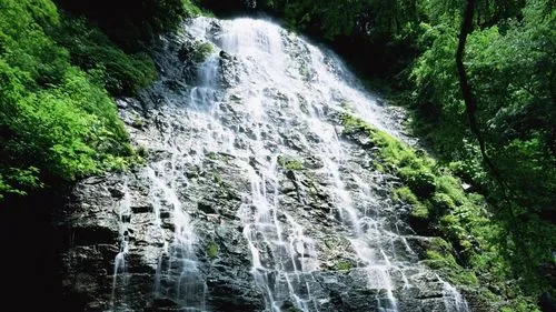 高效高端